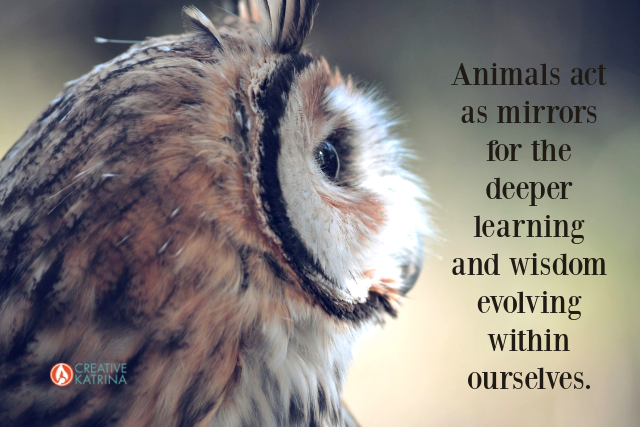 Tap into Animal Symbolism to Inspire Creativity and Hone Intuition