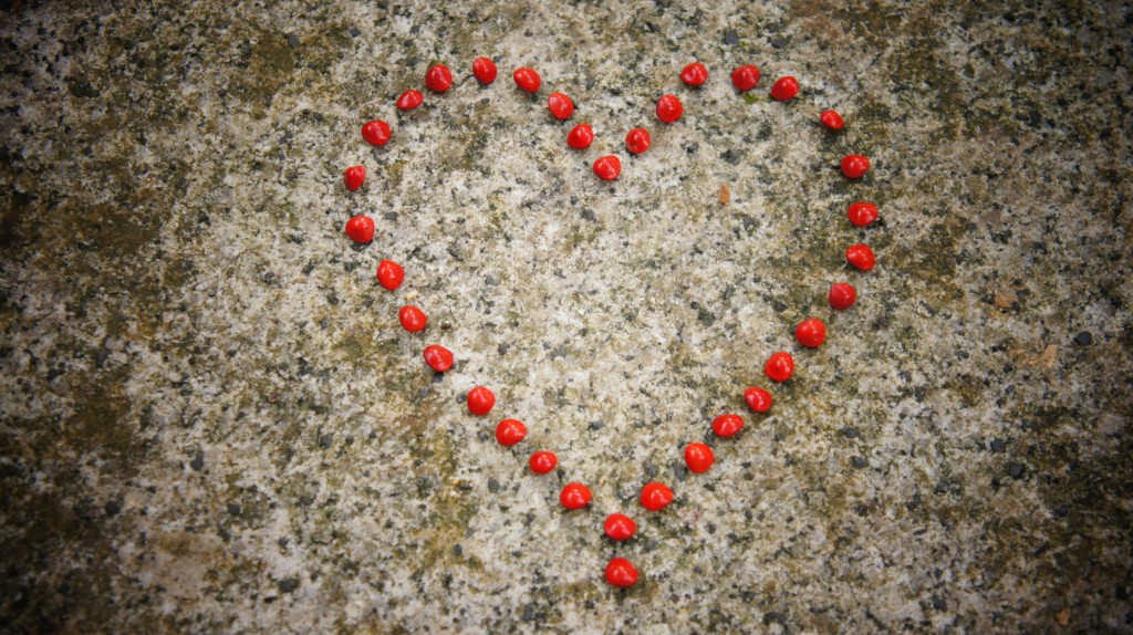 creative resources, heart made of red seeds